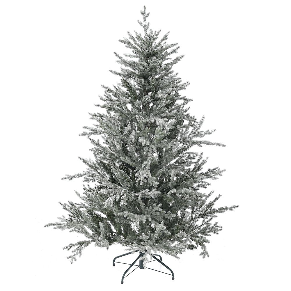 SNOWY NORWAY SPRUCE 150EK